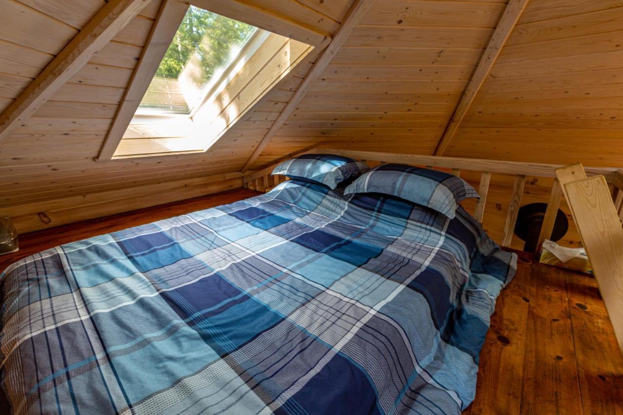 Les Racines Du P'tit Isidore Chalet Rouyn