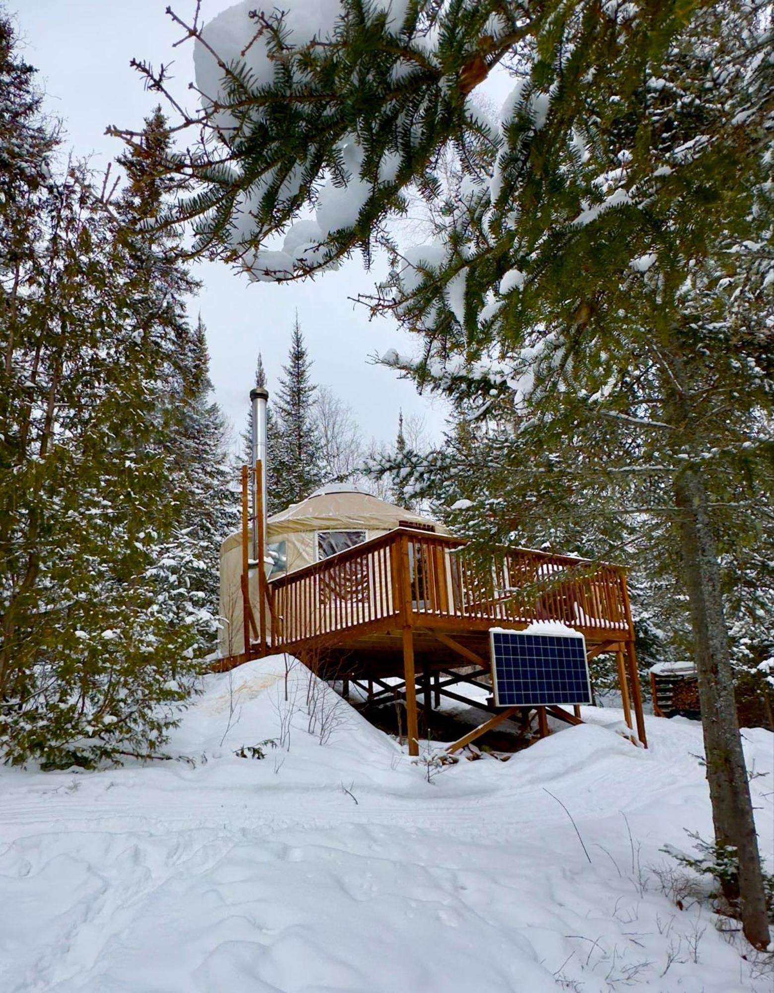 Les Racines Du P'tit Isidore * Rouyn