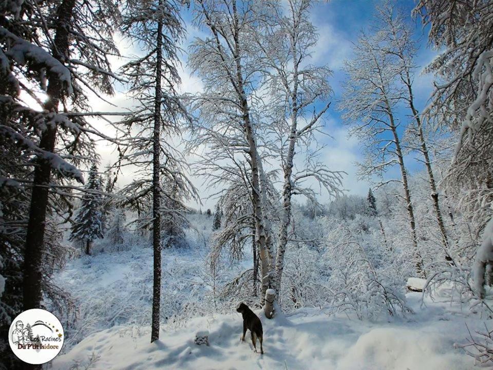 Les Racines Du P'tit Isidore Chalet *