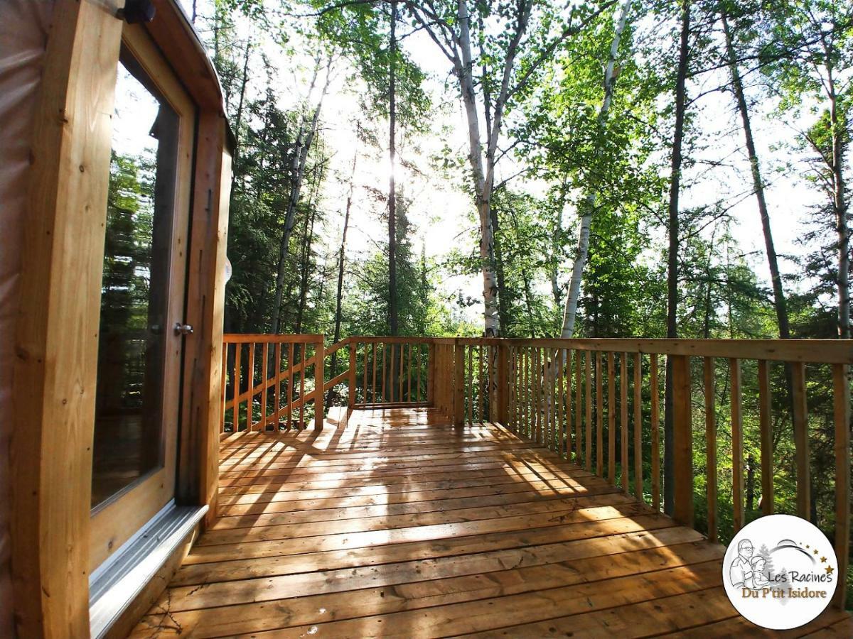 Les Racines Du P'tit Isidore Chalet Rouyn